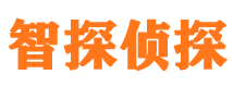 涪城市婚外情调查